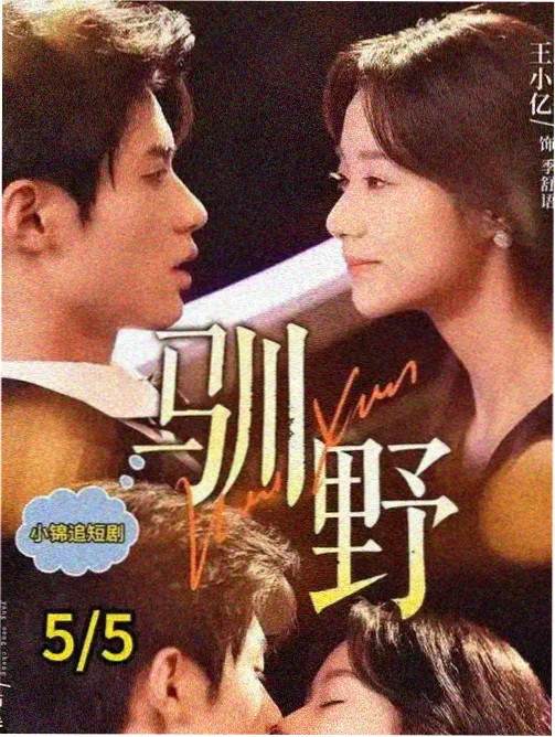 琥珀色的午后 高分榜图
